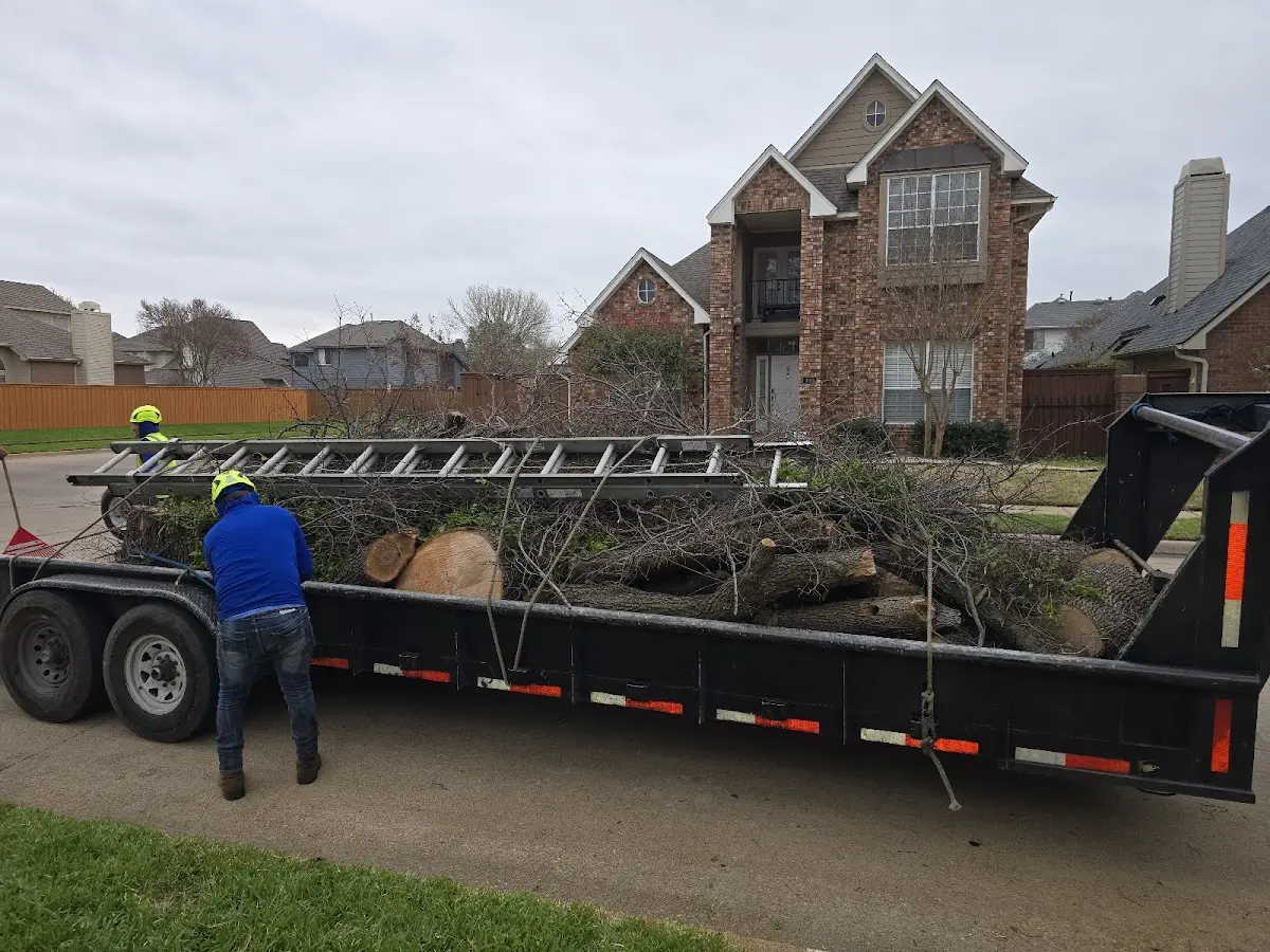 Expert Tree Fertilization with proper safety equipment in Brimhall